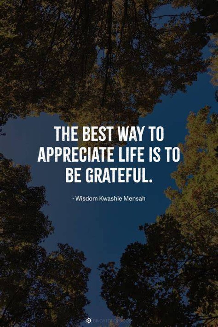 Appreciate Your Life Quotes Sayings Pin On Quotes To Keep The