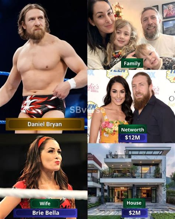 Brie Bella Biodata, Movies, Networth, Age, New Movies, Affairs, New