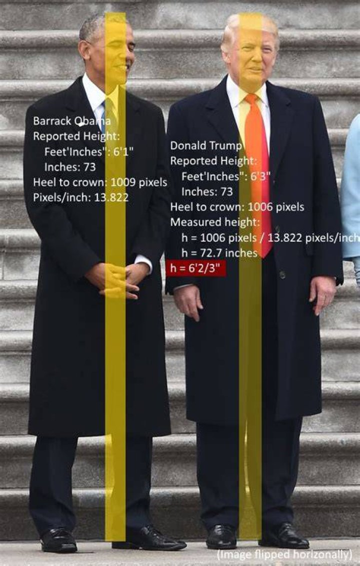 Donald Trump Celebheights