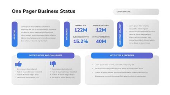 Financial Kpi One Pager Slide Company Snapshot Powerp vrogue.co