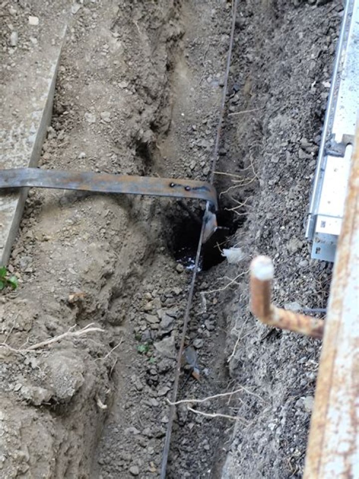 I Like Digging Holes Telegraph