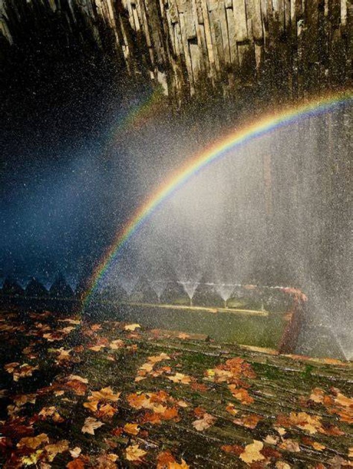 Rainbow Kiss Smithsonian Photo Contest Smithsonian Magazine