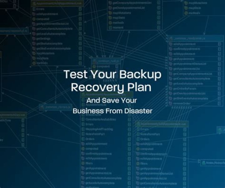 The BackUp Plan Picture 1