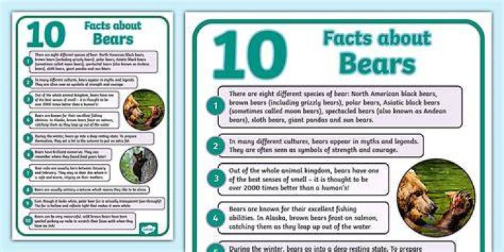 These 10 Facts About Bear Grylls Will Make You Wonder Whether He's