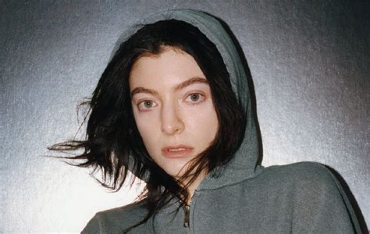 Who Is Lorde's Boyfriend? All About Justin Warren